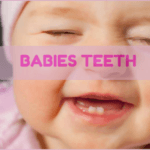 When Do Babies Get Teeth - With Molars Chart